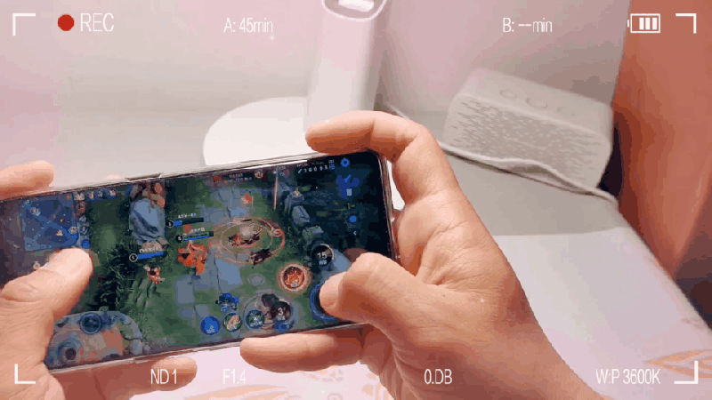 08.gif 08.gif