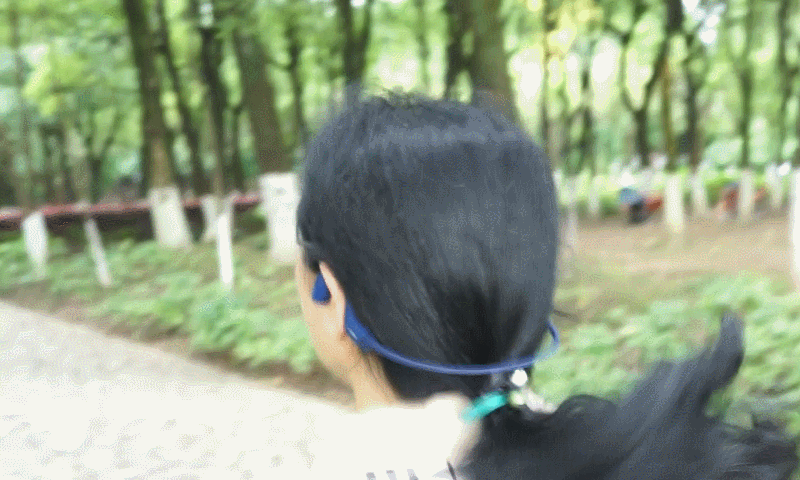 14.gif 14.gif