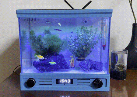 13.gif