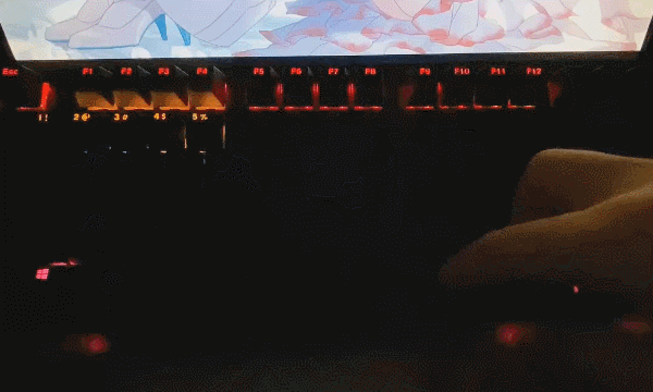 image (4).gif