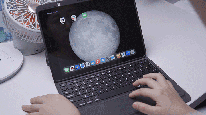 C0161.gif