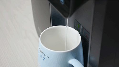 GIF3.gif